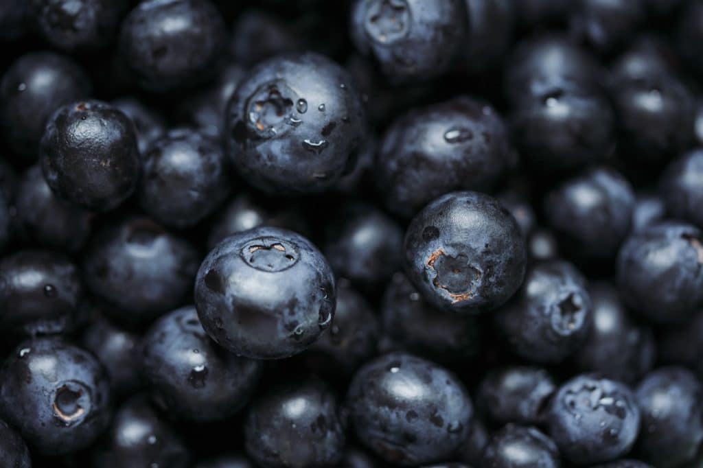 The Nutritional Power Of Chia Seeds In Everyday Diet