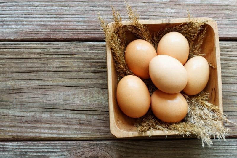 The Benefits of High Protein Snacks for Weight Loss and Well-being