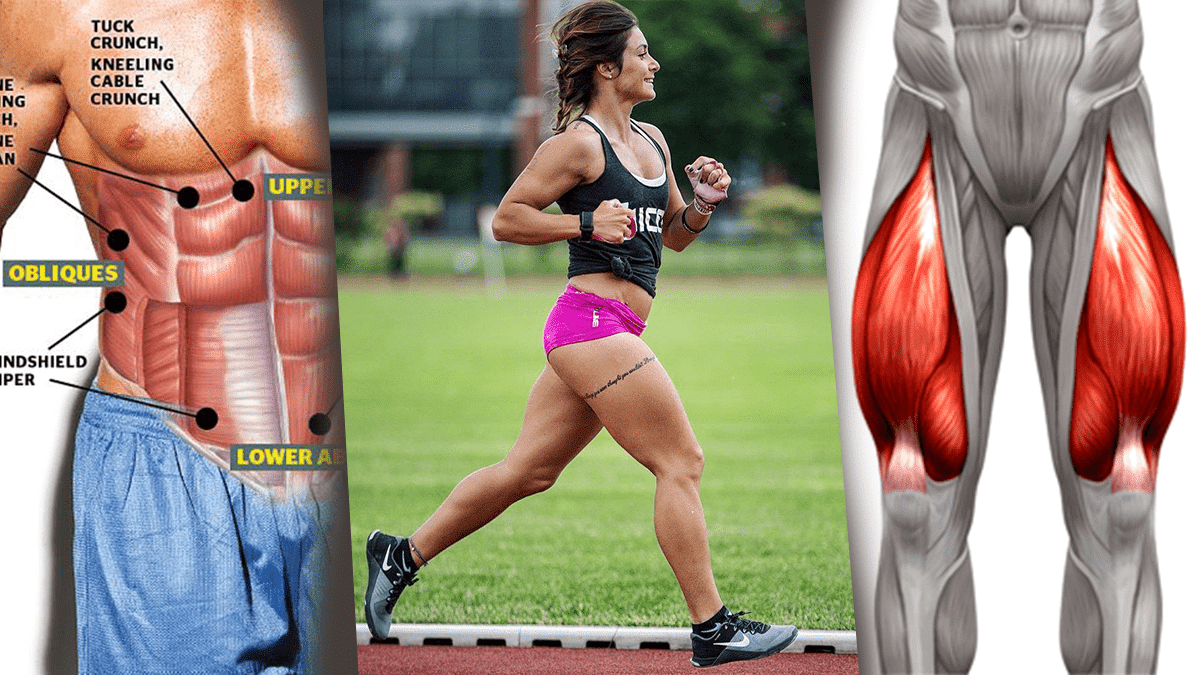 The Best Alternatives to Squats for Leg Muscle Gains