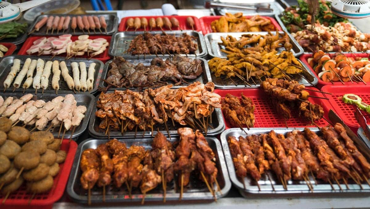 The Potential Effects of a Meat-Only Diet on the Body
