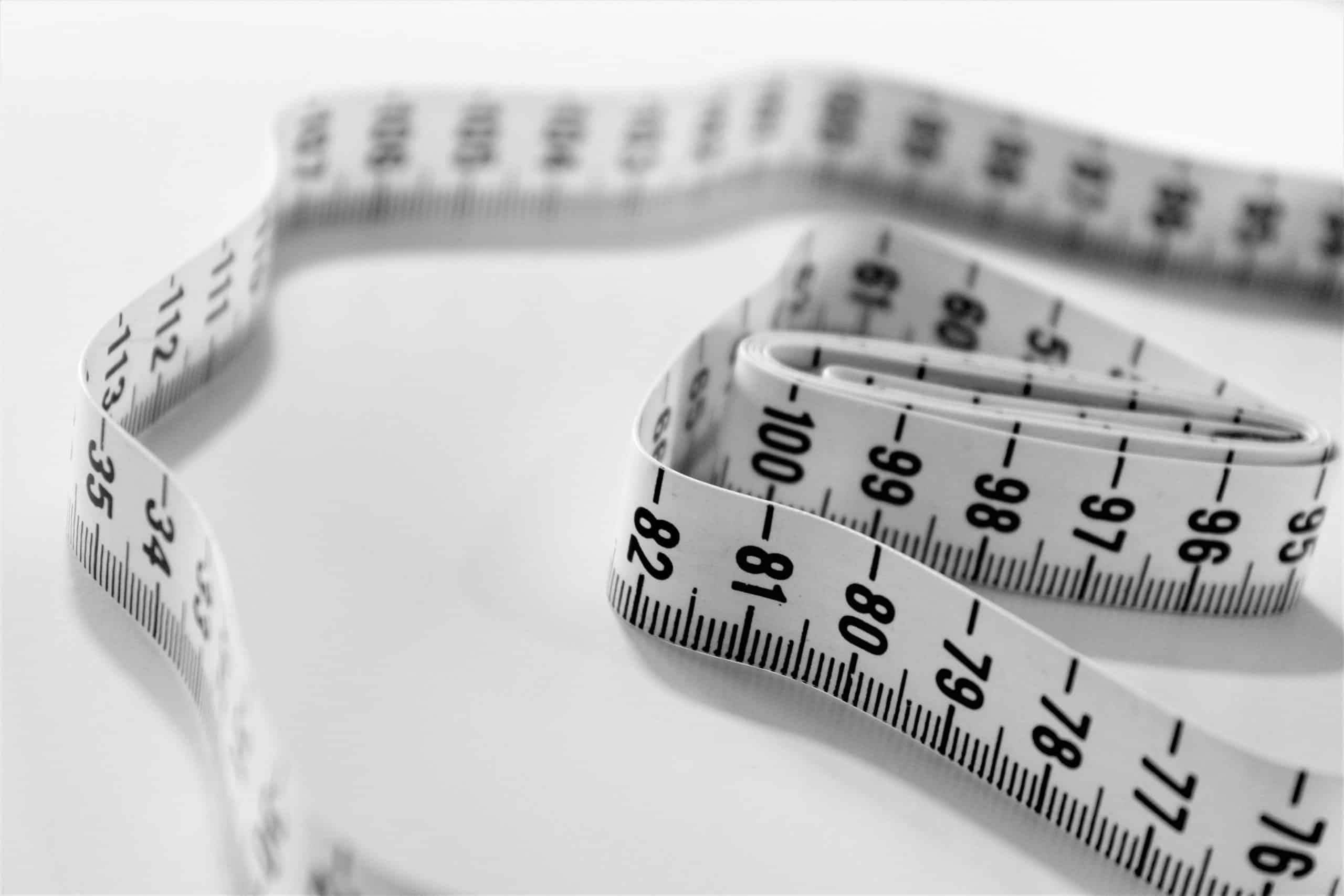 The Potential Effects of a Meat-Only Diet on the Body