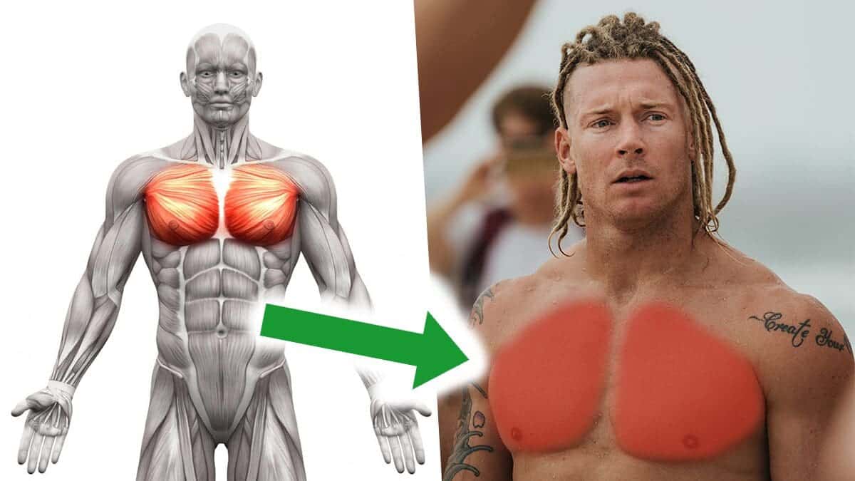 The Benefits of Dumbbell Chest Exercises for Muscle Growth and Aesthetics